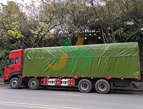 汽車桃子视频在线观看高清免费视频